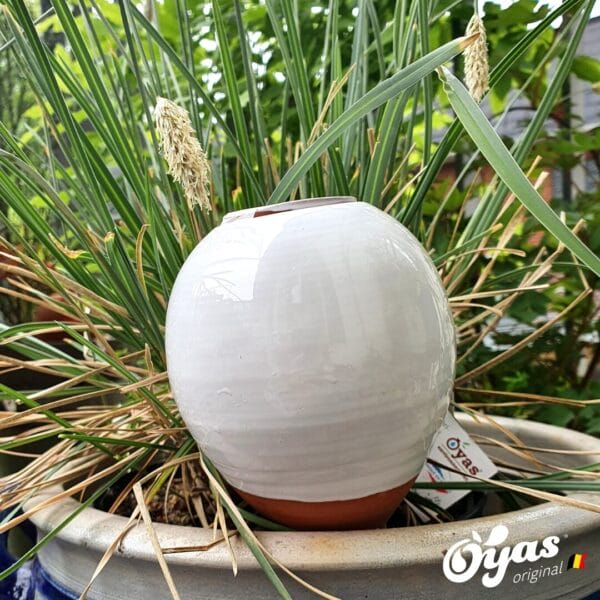 Oyas blanc – Arrosage naturel et design épuré pour vos plantes