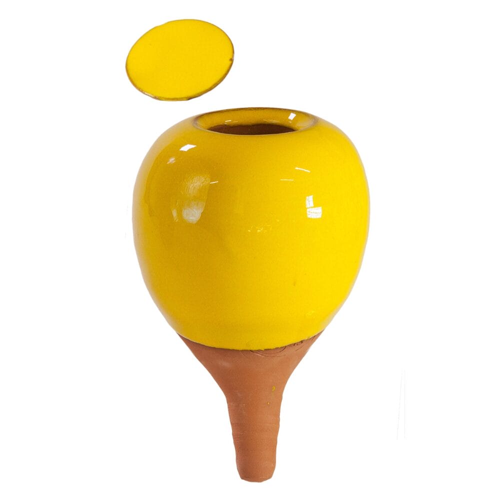 Oyas à planter coloré systeme d'arrosage pour plante.
