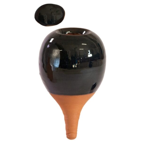 Oyas à planter marine – Pot en terre cuite pour un arrosage écologique et un jardin durable