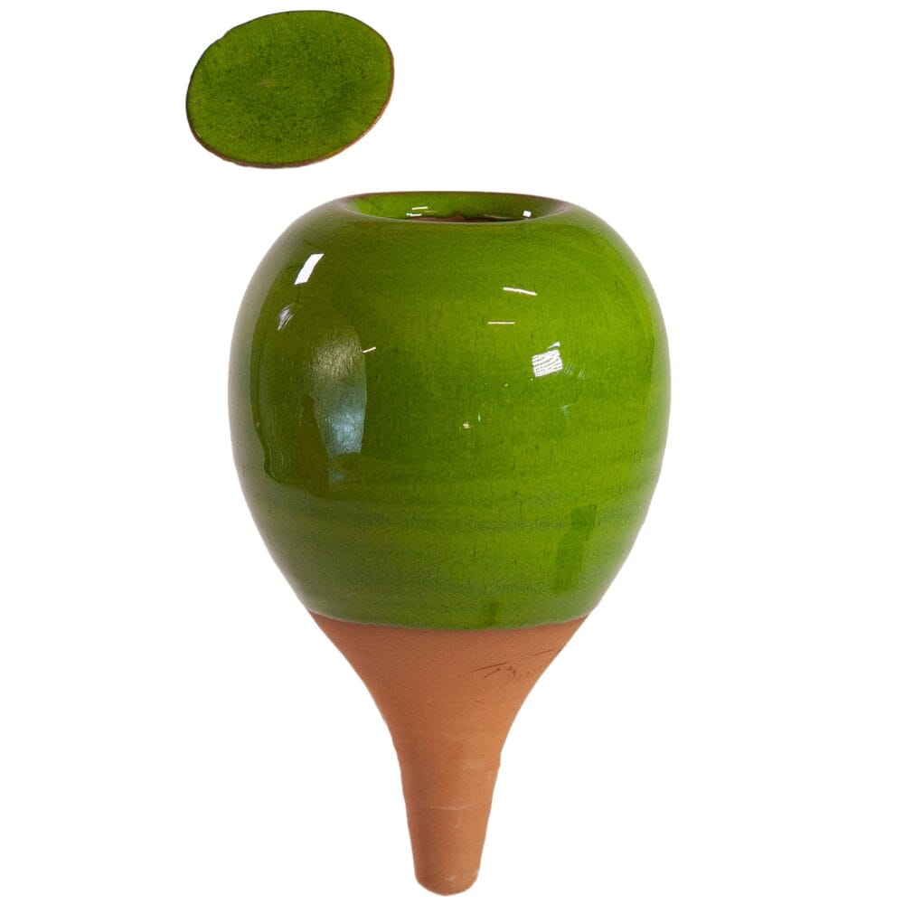 Oyas® à planter vert