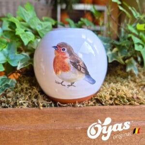 OYAS® ILLUSTRATED SMALL