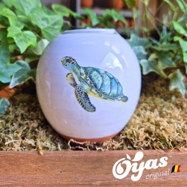 OYAS® ILLUSTRES SMALL - Image 12