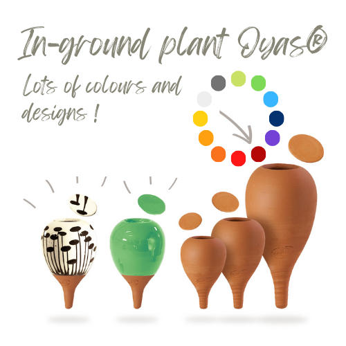 Models In Ground Plant In Ground Plant Oyas®