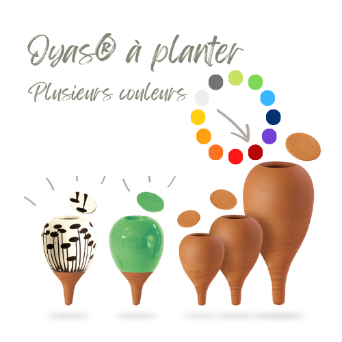 Planter FR Planter FR